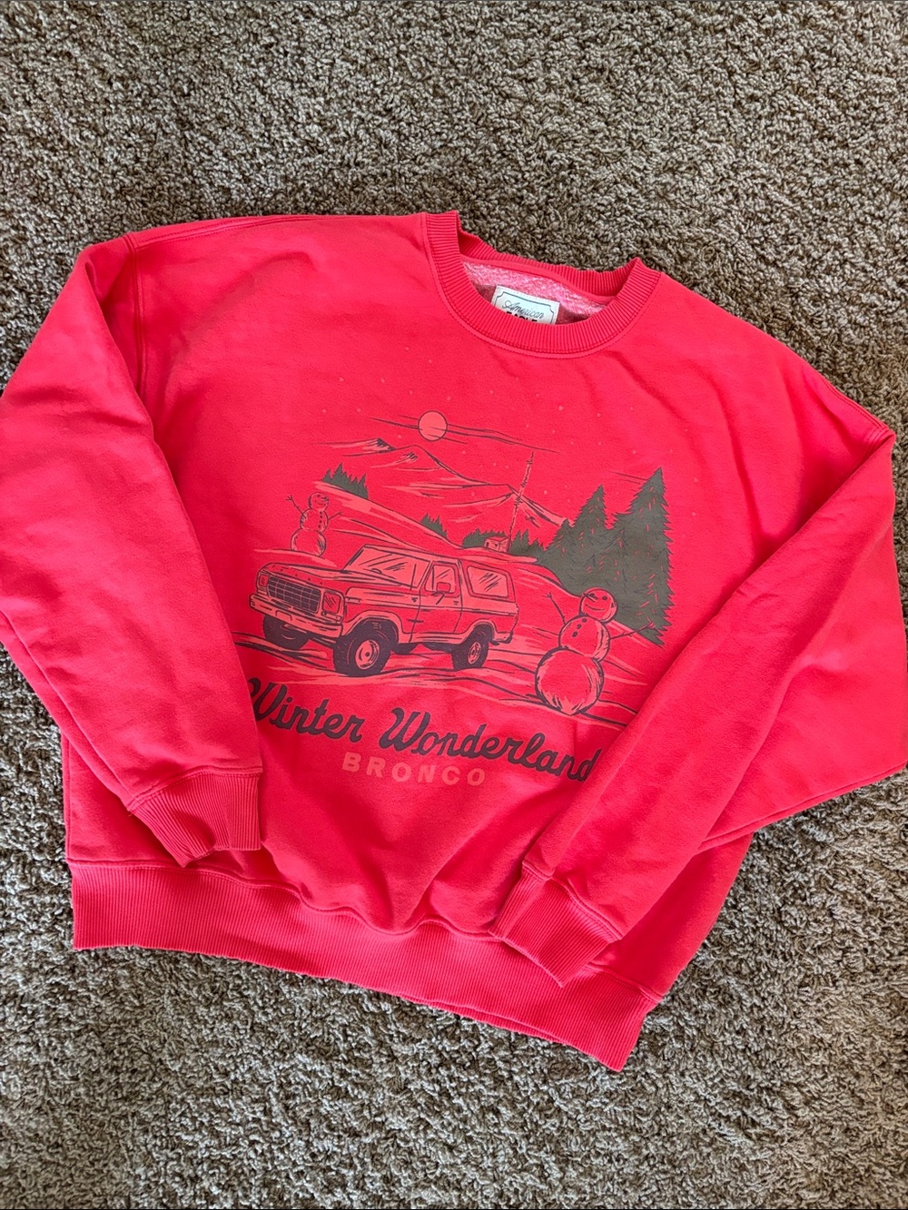 AMERICAN EAGLE ♥️ Crew Neck Sweatshirt